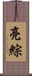 亮綜 Scroll