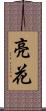 亮花 Scroll