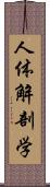 人体解剖学 Scroll