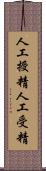 人工授精 Scroll