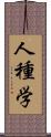 人種学 Scroll