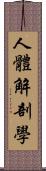 人體解剖學 Scroll