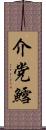 介党鱈 Scroll