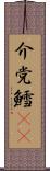 介党鱈(rK) Scroll