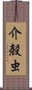 介殻虫 Scroll