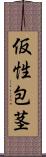 仮性包茎 Scroll