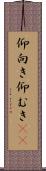 仰向き Scroll