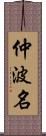 仲波名 Scroll