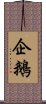 企鵝 Scroll