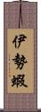 伊勢蝦 Scroll