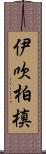 伊吹柏槙 Scroll