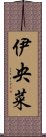 伊央菜 Scroll