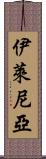 Ylenia Scroll