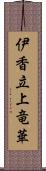 伊香立上竜華 Scroll