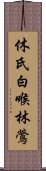 休氏白喉林鶯 Scroll