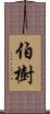 伯樹 Scroll