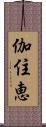 伽住恵 Scroll