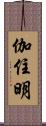 伽住明 Scroll