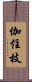 伽住枝 Scroll
