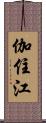 伽住江 Scroll