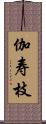 伽寿枝 Scroll