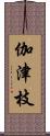 伽津枝 Scroll
