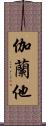 伽蘭他 Scroll