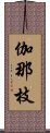 伽那枝 Scroll