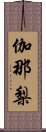 伽那梨 Scroll