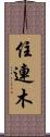 住連木 Scroll