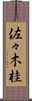 佐々木桂 Scroll