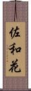 佐和花 Scroll