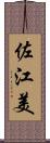 佐江美 Scroll