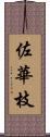 佐華枝 Scroll