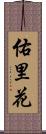 佑里花 Scroll