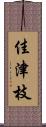 佳津枝 Scroll