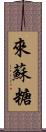 來蘇糖 Scroll