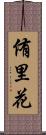 侑里花 Scroll