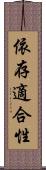 依存適合性 Scroll