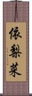 依梨菜 Scroll