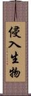 侵入生物 Scroll