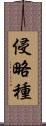 侵略種 Scroll
