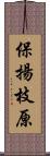保揚枝原 Scroll