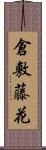 倉敷藤花 Scroll