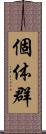 個体群 Scroll