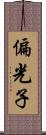 偏光子 Scroll