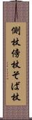 側杖 Scroll