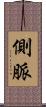 側脈 Scroll