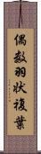 偶数羽状複葉 Scroll