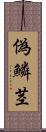 偽鱗茎 Scroll